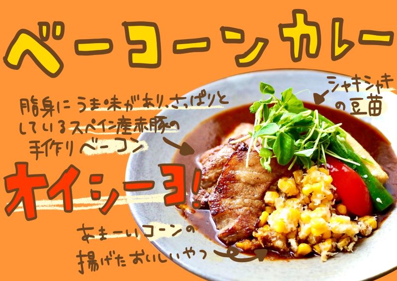 【期間限定】ポニピリカ自家製ベーコンカレー